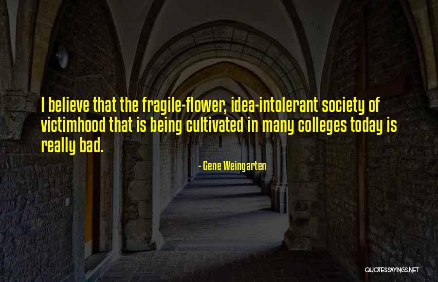 Being Fragile Quotes By Gene Weingarten Being Fragile Quotes By Gene Weingarten