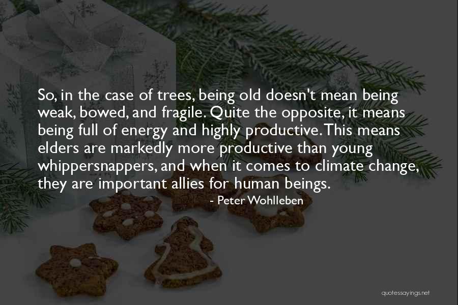 Being Fragile Quotes By Peter Wohlleben Being Fragile Quotes By Peter Wohlleben