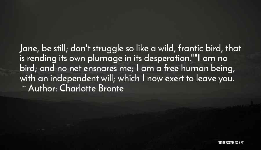 Being Free And Independent Quotes By Charlotte Bronte