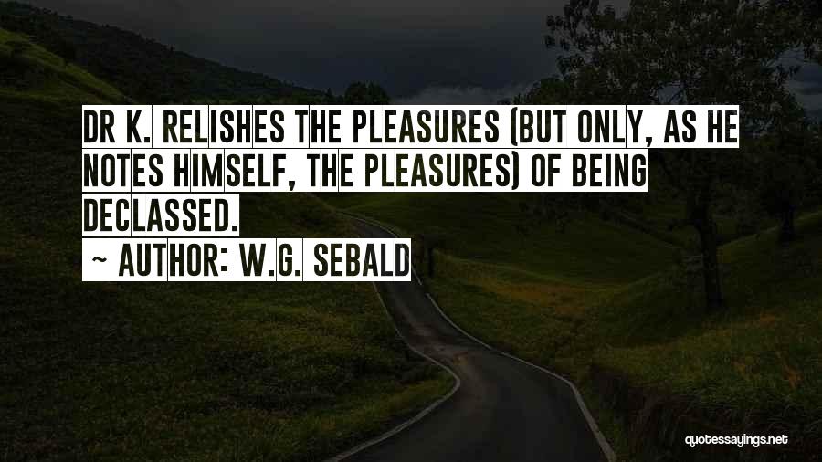 Being Free From Someone Quotes By W.G. Sebald