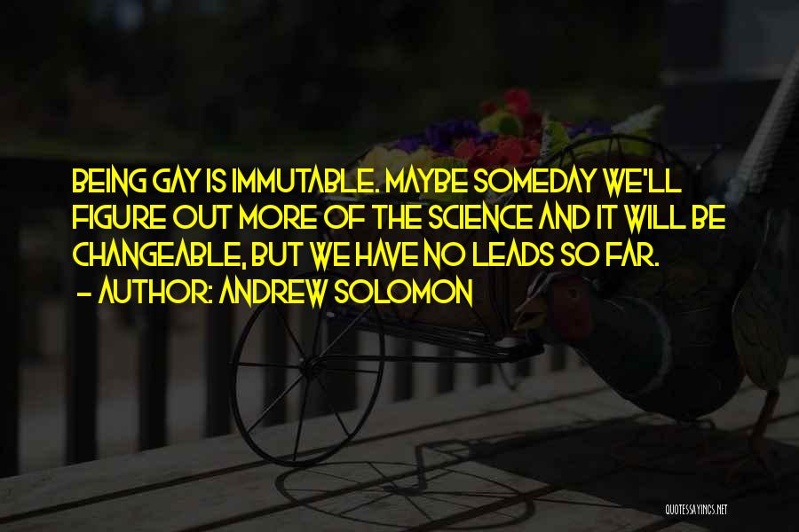 Being Gay Quotes By Andrew Solomon