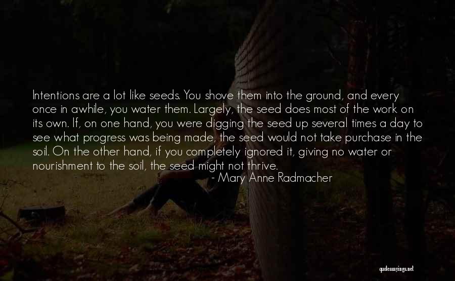 Being Gone For Awhile Quotes By Mary Anne Radmacher