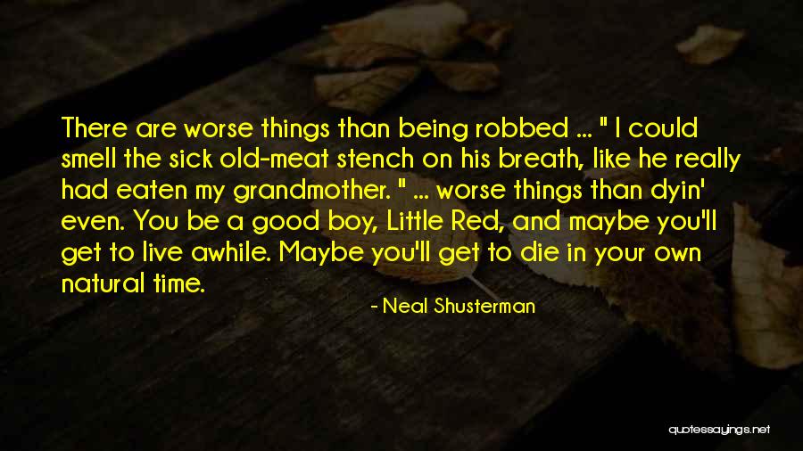 Being Gone For Awhile Quotes By Neal Shusterman