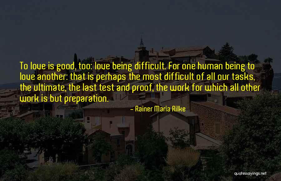 Being Good Human Quotes By Rainer Maria Rilke