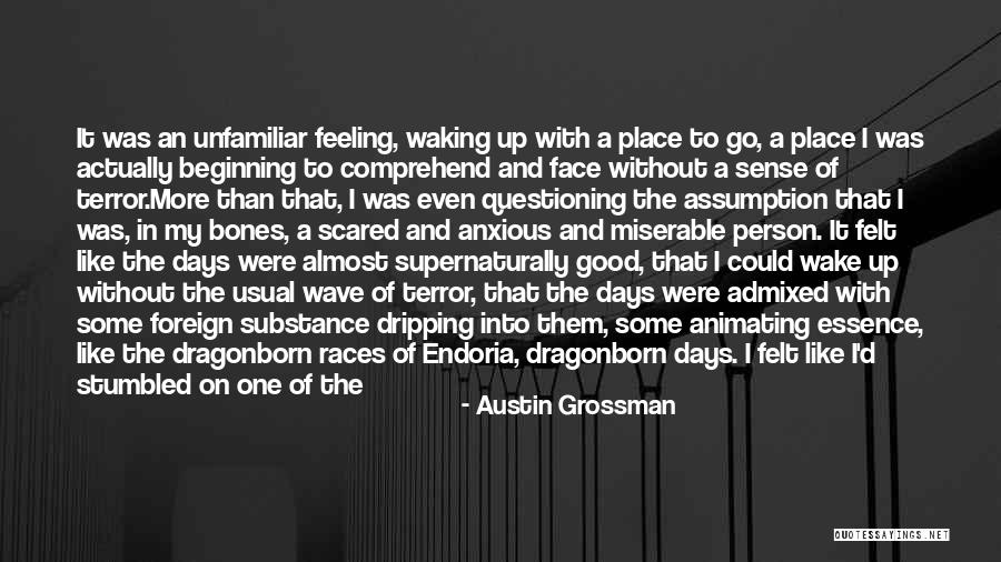 Being Good Person Quotes By Austin Grossman