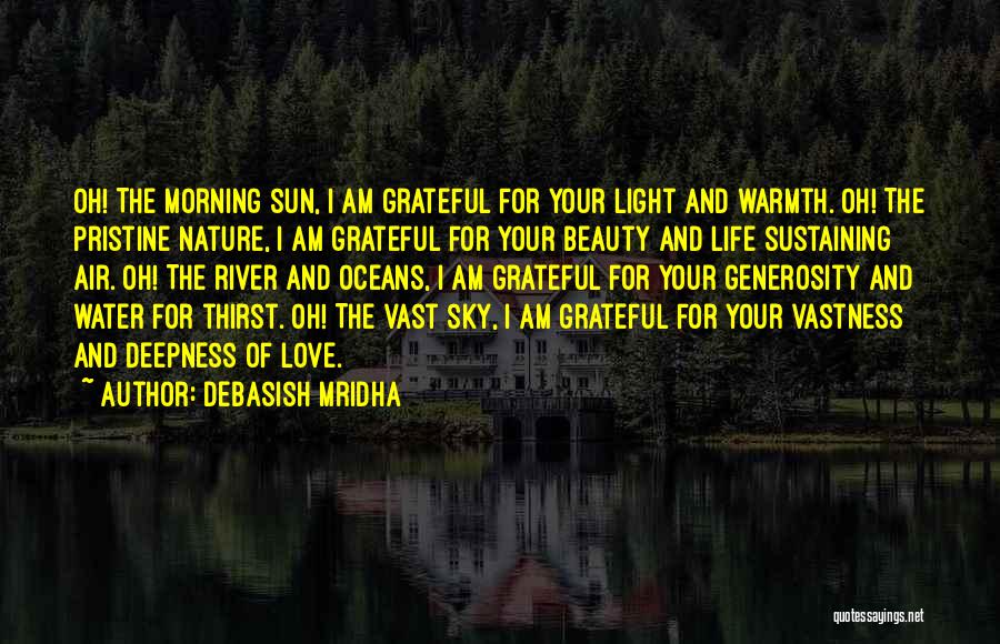 Being Grateful For Someone You Love Quotes By Debasish Mridha