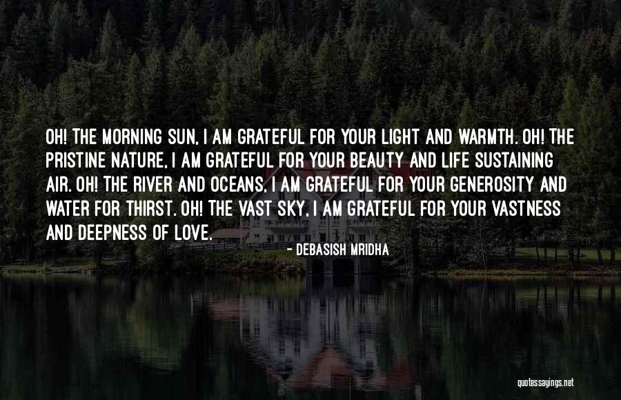 Being Grateful For The Life You Have Quotes By Debasish Mridha