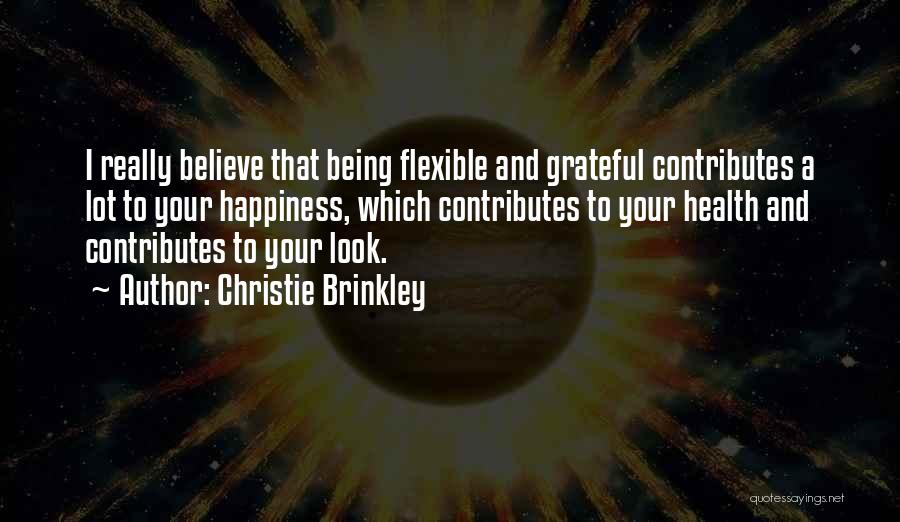 Being Grateful Quotes By Christie Brinkley