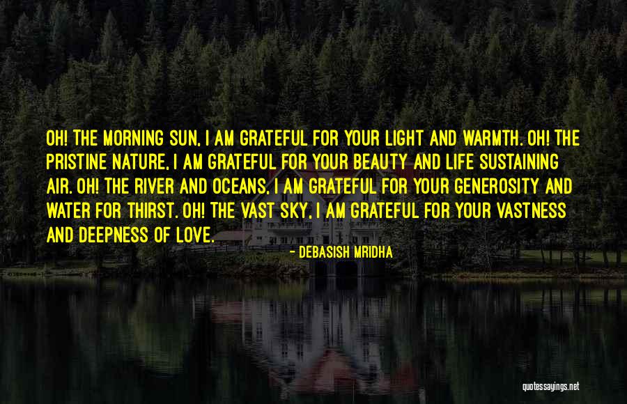 Being Grateful Quotes By Debasish Mridha