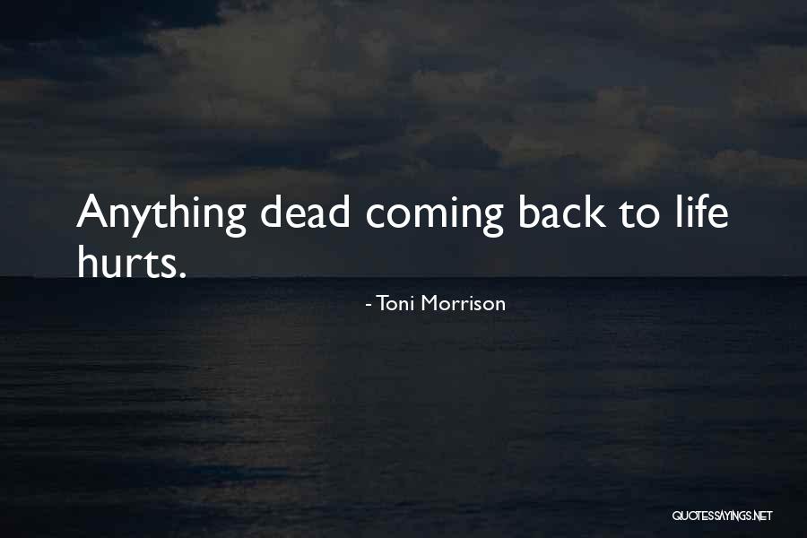 Being Happy Dan Artinya Quotes By Toni Morrison Being Happy Dan Artinya Quotes By Toni Morrison