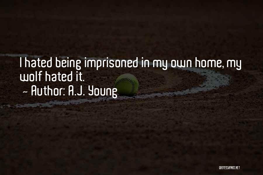 Being Hated By Others Quotes By A.J. Young