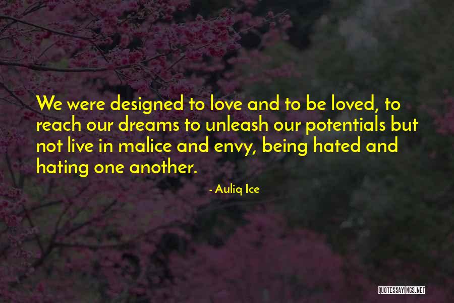 Being Hated By Others Quotes By Auliq Ice