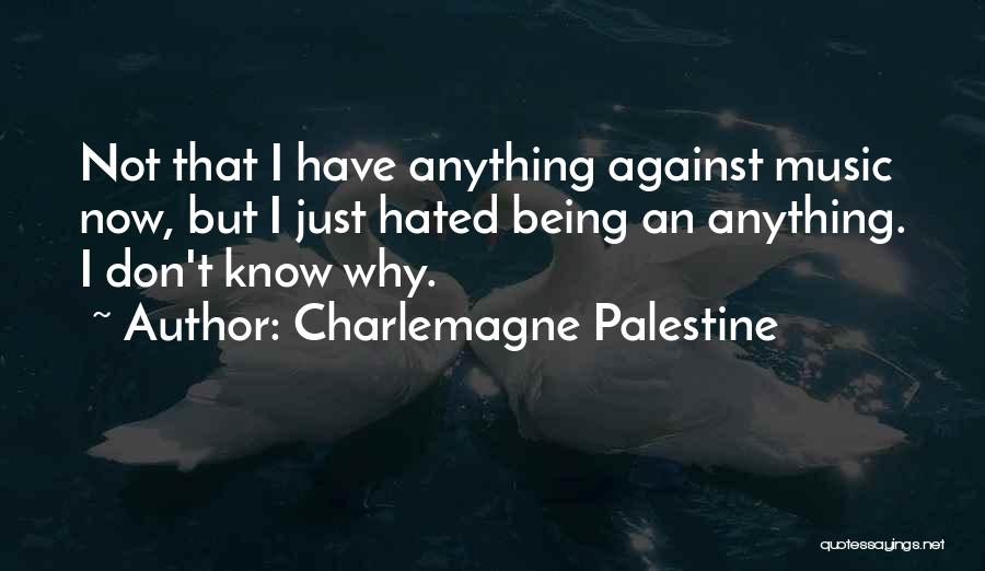 Being Hated By Others Quotes By Charlemagne Palestine