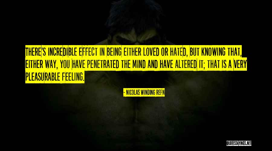 Being Hated By Others Quotes By Nicolas Winding Refn