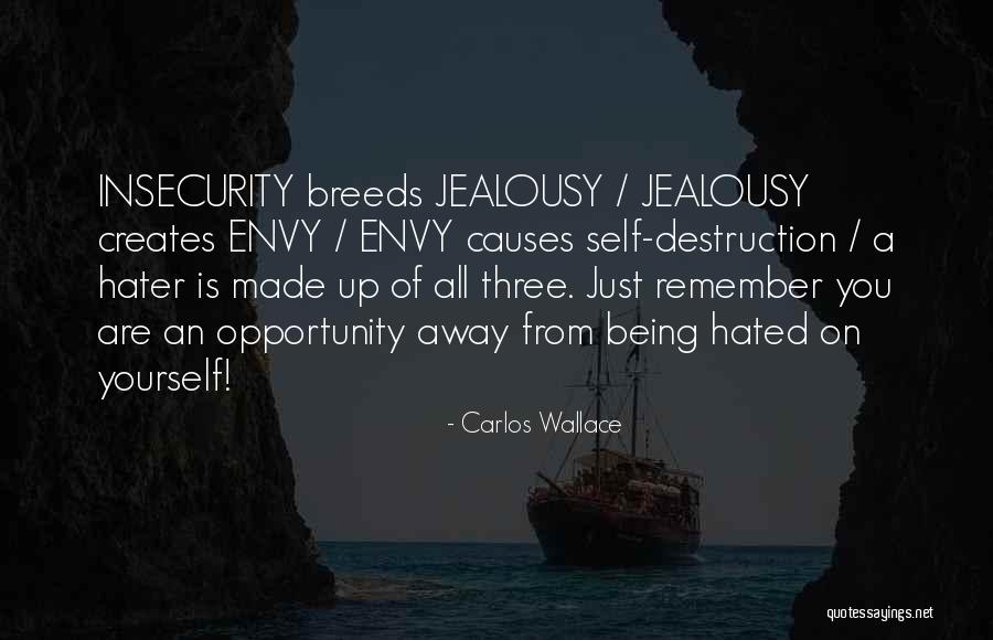 Being Hated By People Quotes By Carlos Wallace Being Hated By People Quotes By Carlos Wallace