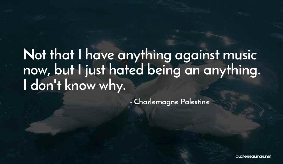 Being Hated By Someone Quotes By Charlemagne Palestine Being Hated By Someone Quotes By Charlemagne Palestine