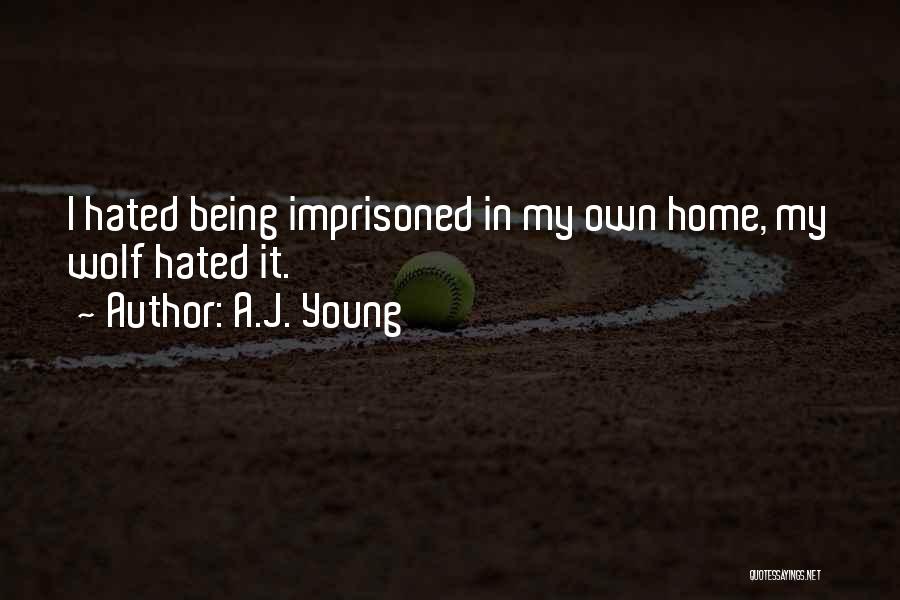 Being Hated Quotes By A.J. Young