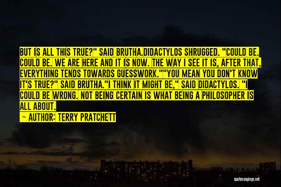 Being Here Now Quotes By Terry Pratchett