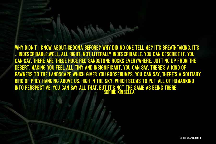 Being High In The Sky Quotes By Sophie Kinsella Being High In The Sky Quotes By Sophie Kinsella