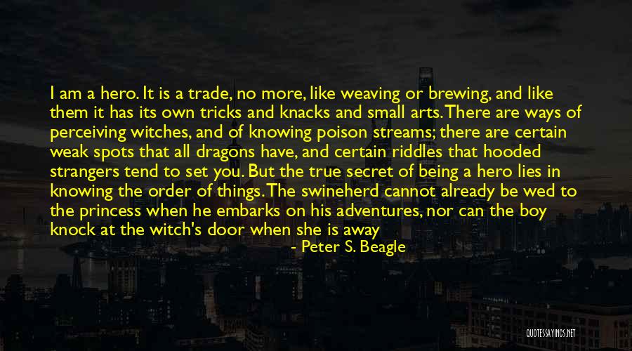 Being His Princess Quotes By Peter S. Beagle