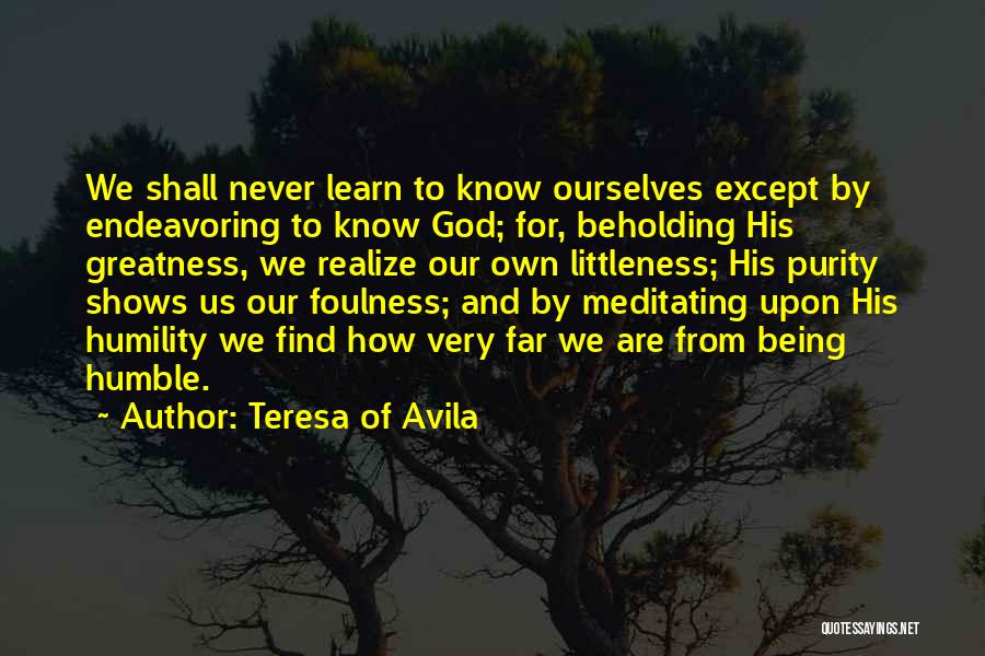 Being Humble To Others Quotes By Teresa Of Avila