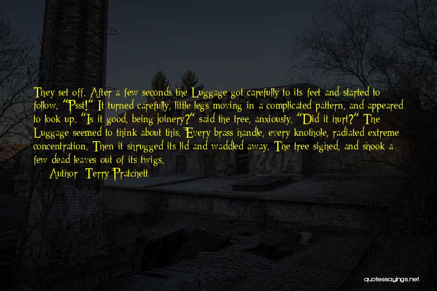 Being Hurt And Moving Quotes By Terry Pratchett