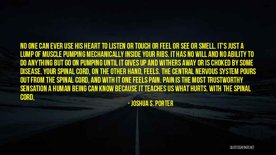 Being Hurt By Him Quotes By Joshua S. Porter