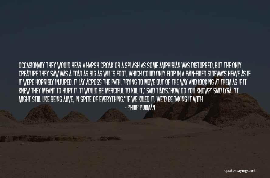 Being Hurt By Others Quotes By Philip Pullman