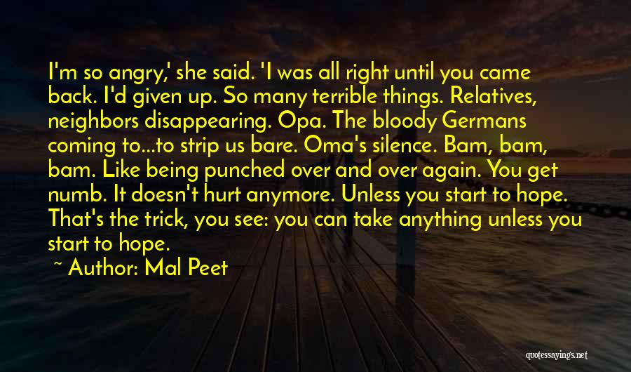 Being Hurt By What Someone Said Quotes By Mal Peet