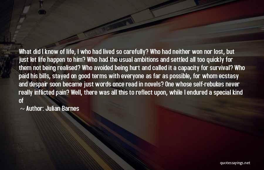 Being Hurt By Words Quotes By Julian Barnes