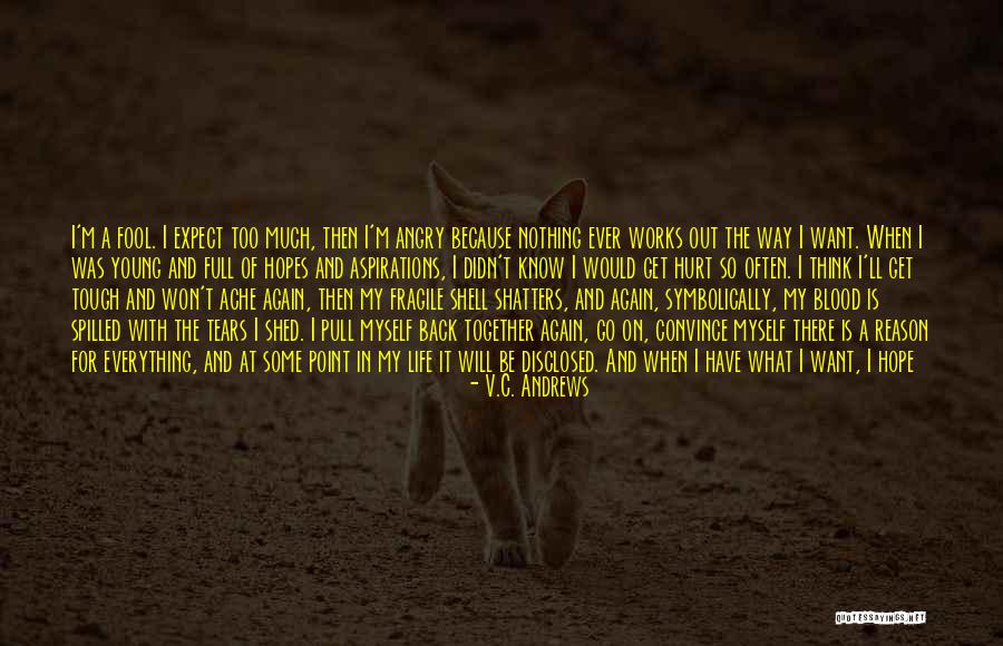 Being Hurt Too Much Quotes By V.C. Andrews Being Hurt Too Much Quotes By V.C. Andrews