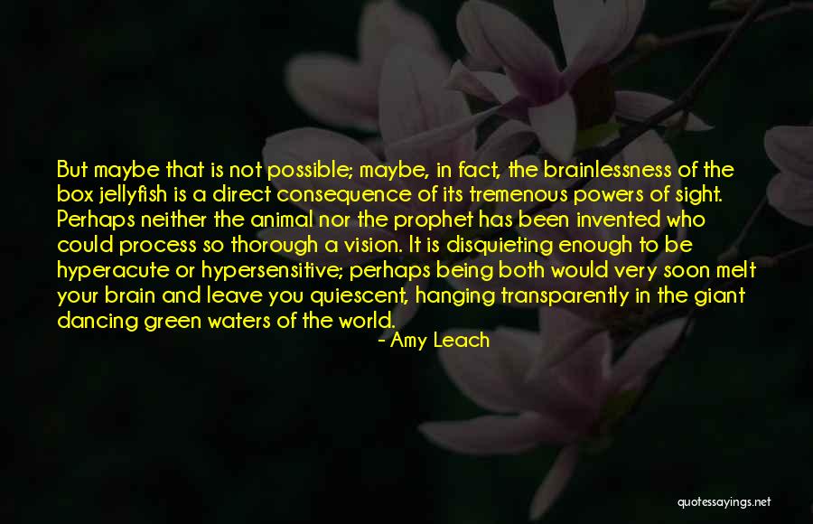 Being Hypersensitive Quotes By Amy Leach Being Hypersensitive Quotes By Amy Leach