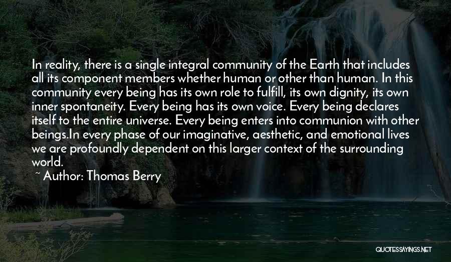 Being Imaginative Quotes By Thomas Berry