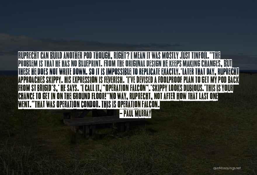 Being In A Foreign Land Quotes By Paul Murray Being In A Foreign Land Quotes By Paul Murray
