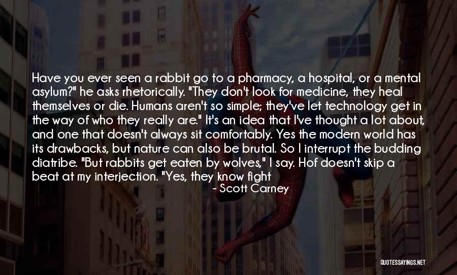 Being In Flight Quotes By Scott Carney Being In Flight Quotes By Scott Carney
