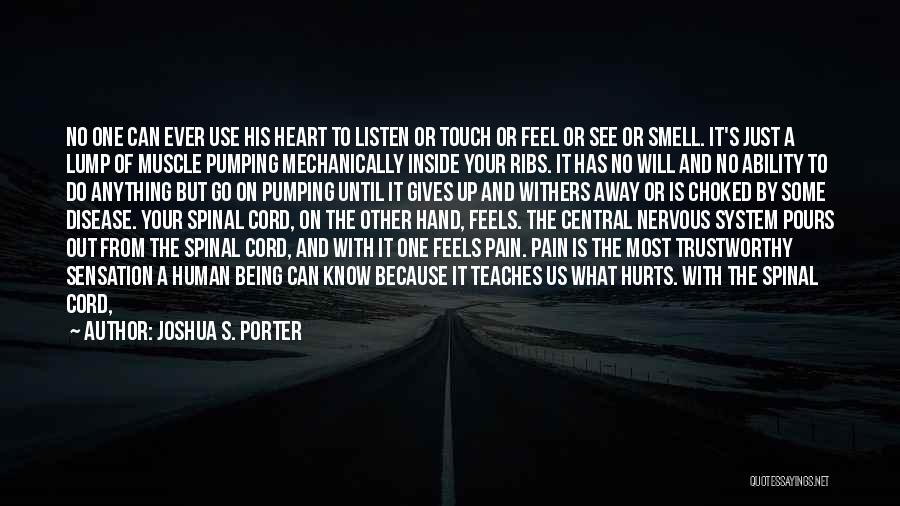 Being In Pain Quotes By Joshua S. Porter