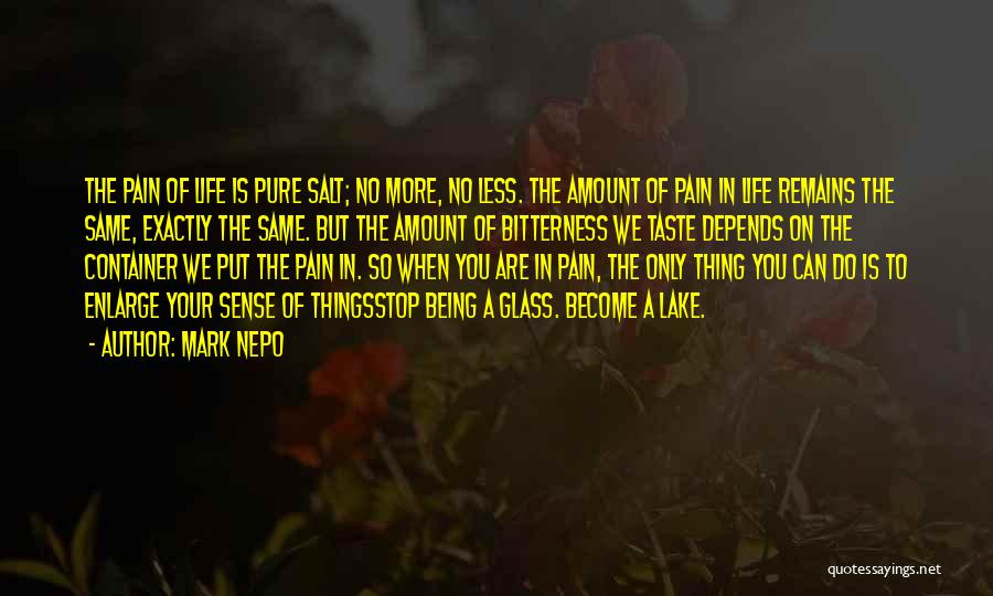 Being In Pain Quotes By Mark Nepo
