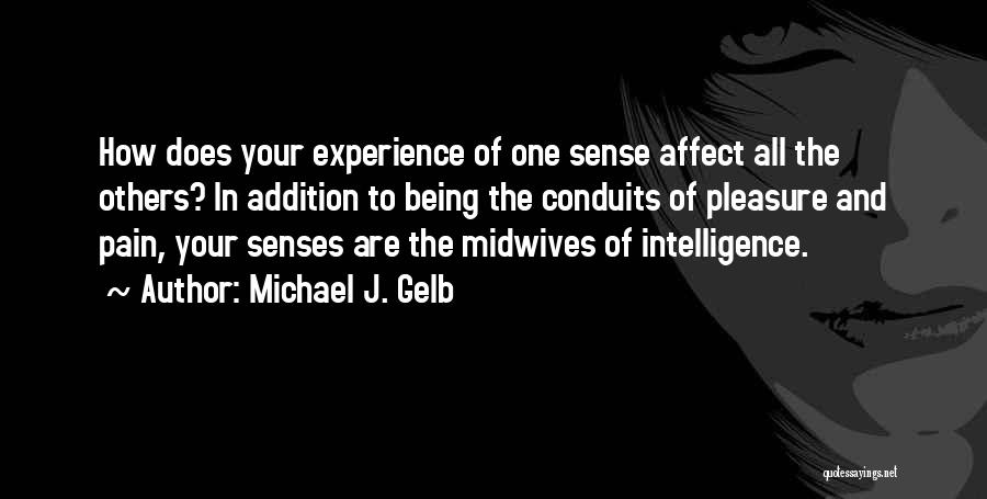 Being In Pain Quotes By Michael J. Gelb