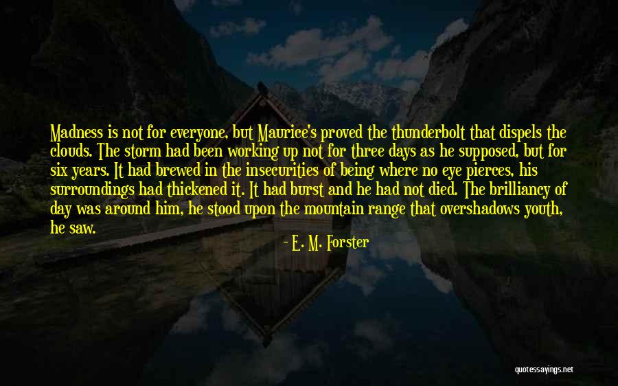 Being In The Eye Of The Storm Quotes By E. M. Forster Being In The Eye Of The Storm Quotes By E. M. Forster