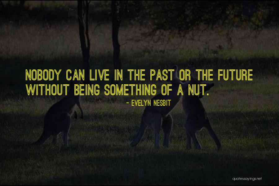 Being In The Past Quotes By Evelyn Nesbit