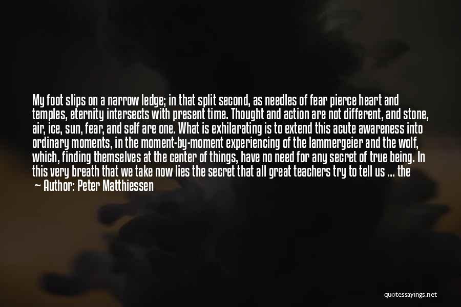 Being In The Present Moment Quotes By Peter Matthiessen