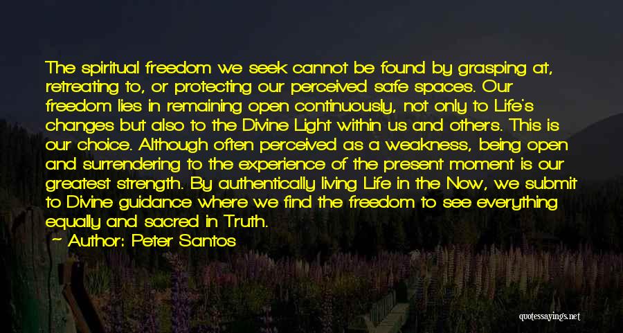 Being In The Present Moment Quotes By Peter Santos