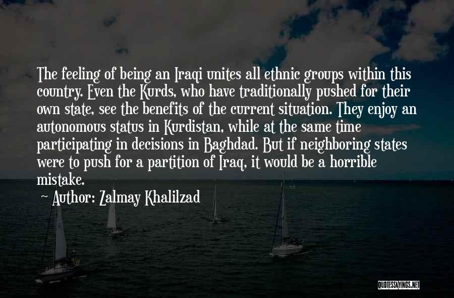 Being In The Same Situation Quotes By Zalmay Khalilzad