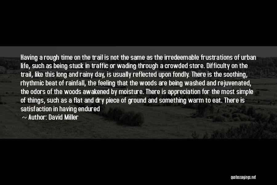 Being In The Woods Quotes By David Miller