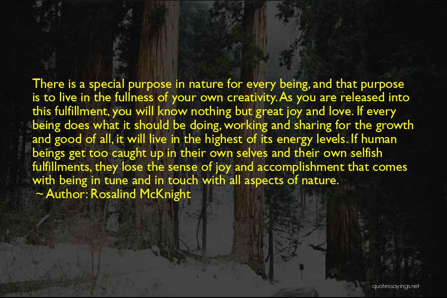 Being In Touch With Nature Quotes By Rosalind McKnight