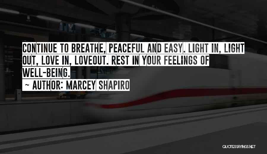 Being In Your Feelings Quotes By Marcey Shapiro