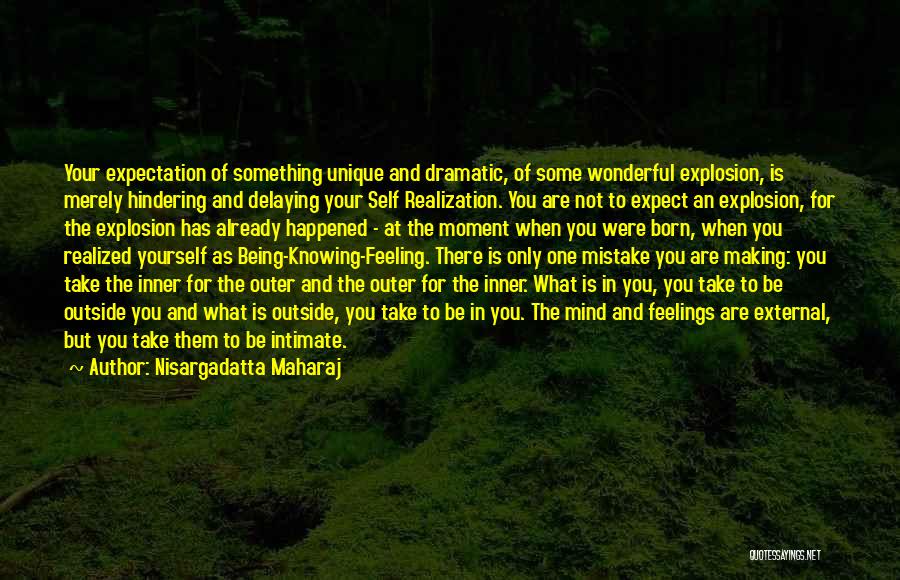 Being In Your Feelings Quotes By Nisargadatta Maharaj
