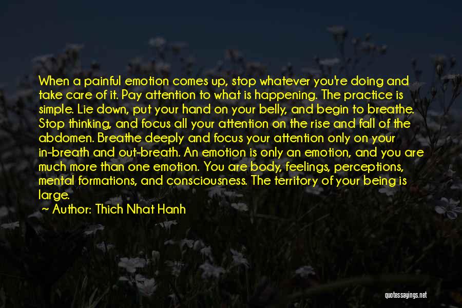 Being In Your Feelings Quotes By Thich Nhat Hanh