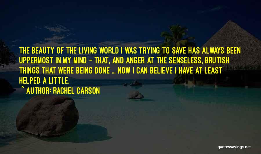 Being In Your Own Little World Quotes By Rachel Carson