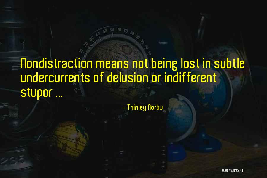 Being Indifferent Quotes By Thinley Norbu Being Indifferent Quotes By Thinley Norbu